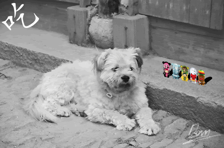 fickledmindedsmile