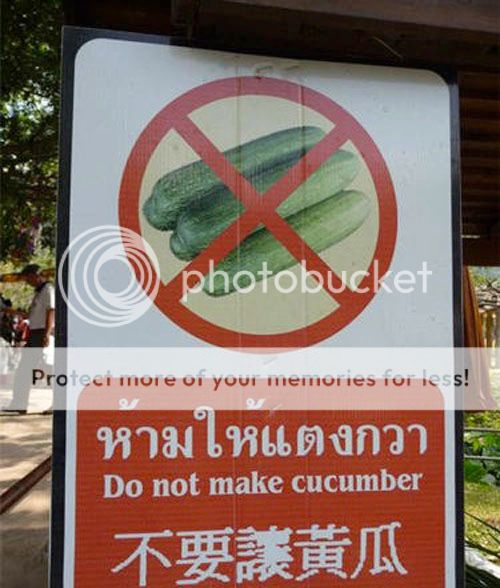 cukes_zpswgduwnfu.jpg