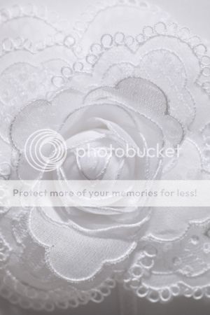 lace1_zpsf3lsrdyz.jpg