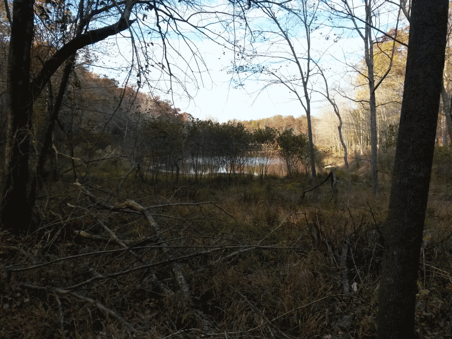 Nov23_2016_2_zpsk9inhbya.gif