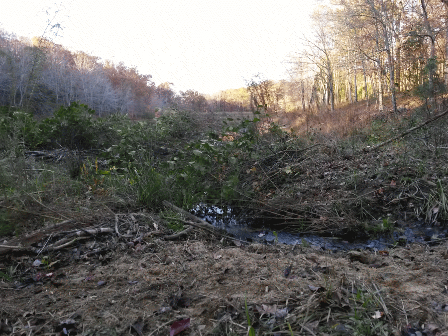 Nov23_2016_5_zps8ktnswau.gif