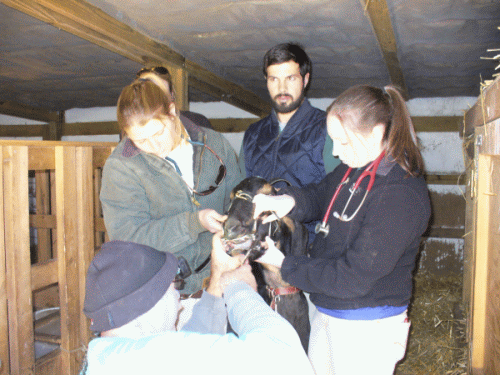 SpotFloat1_zpsa7vwpq1x.gif