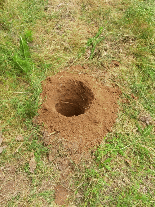 posthole1_zpspdlfgbc3.gif