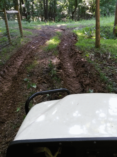 ruts_zpsawcaqn7v.gif