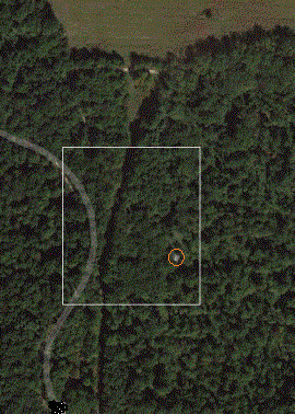 cabin_now_google_mark3_zpssjui9bkq.gif