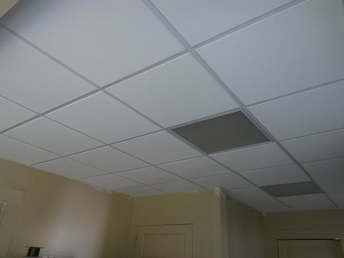 ceiling5_zpscjrxdix6.gif