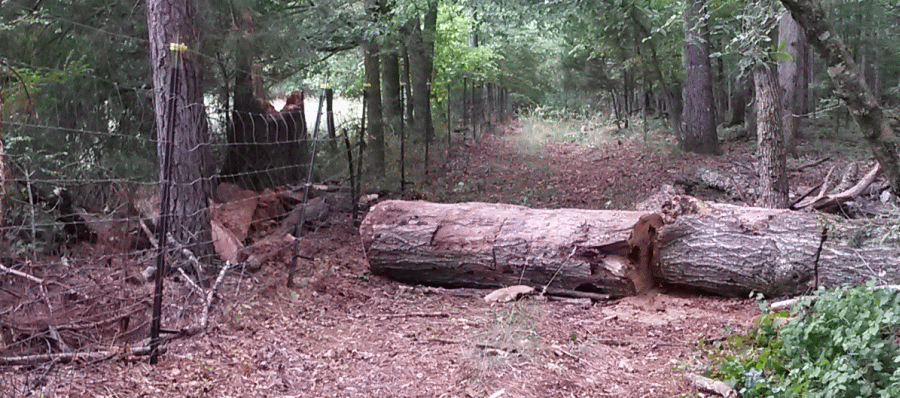 fence1_zpsln9prcpo.gif