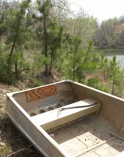 inside3_zpst8pw7qui.gif