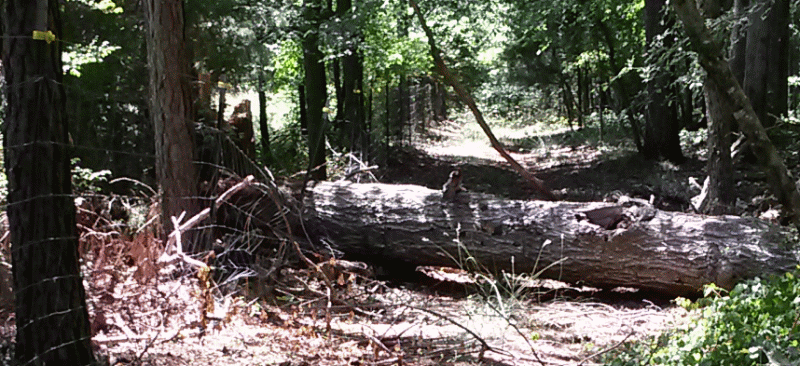 log1_zps4cvdtq8a.gif
