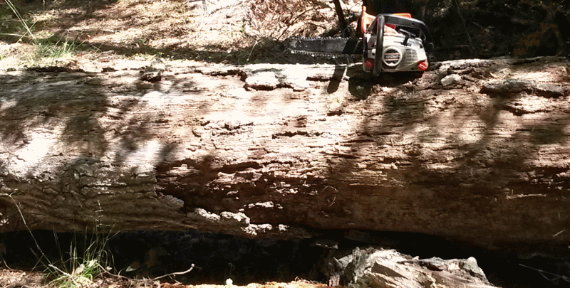 log2_zpsty8zt1lq.gif