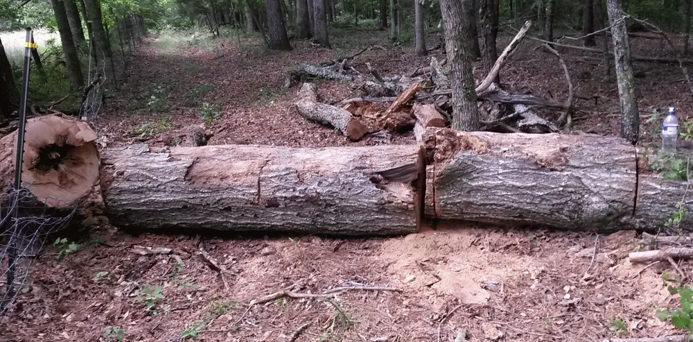 log524_zpspk6p5fmy.gif
