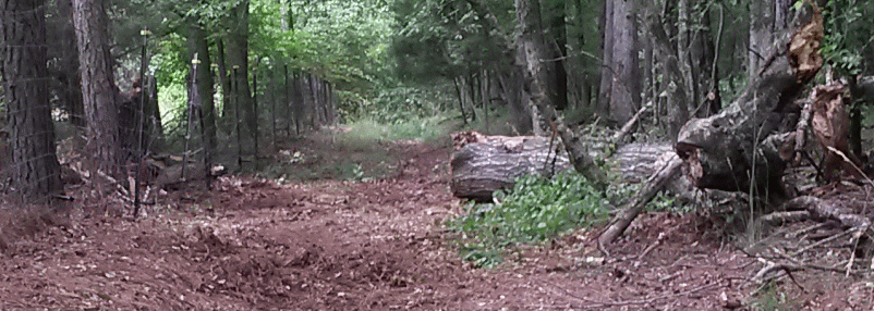 log6_zpsaihhub5d.gif