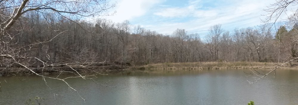 pond5_zps8nczr2di.gif