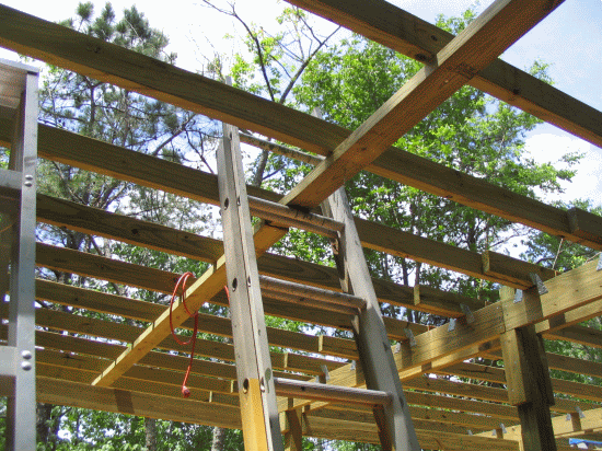 ladderx.gif