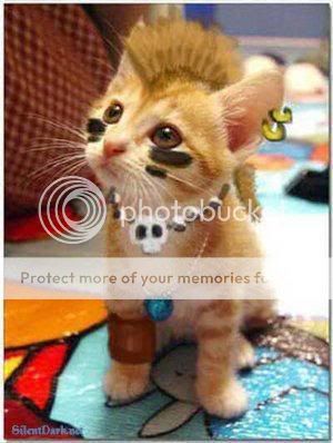 imagenes punk imagenes punk