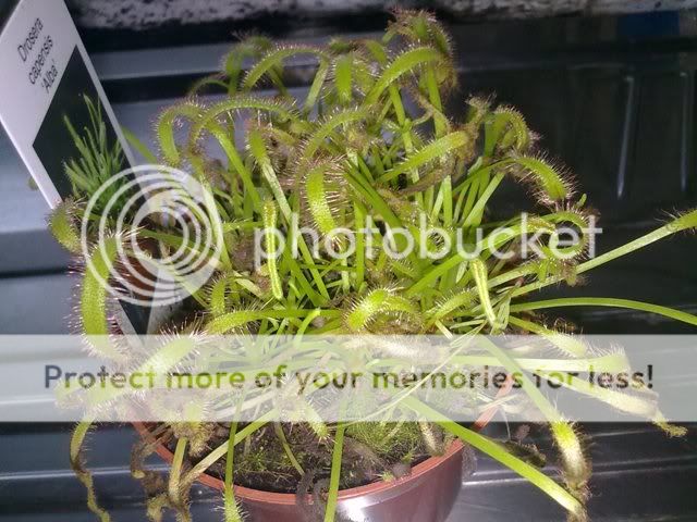 280320112641.jpg