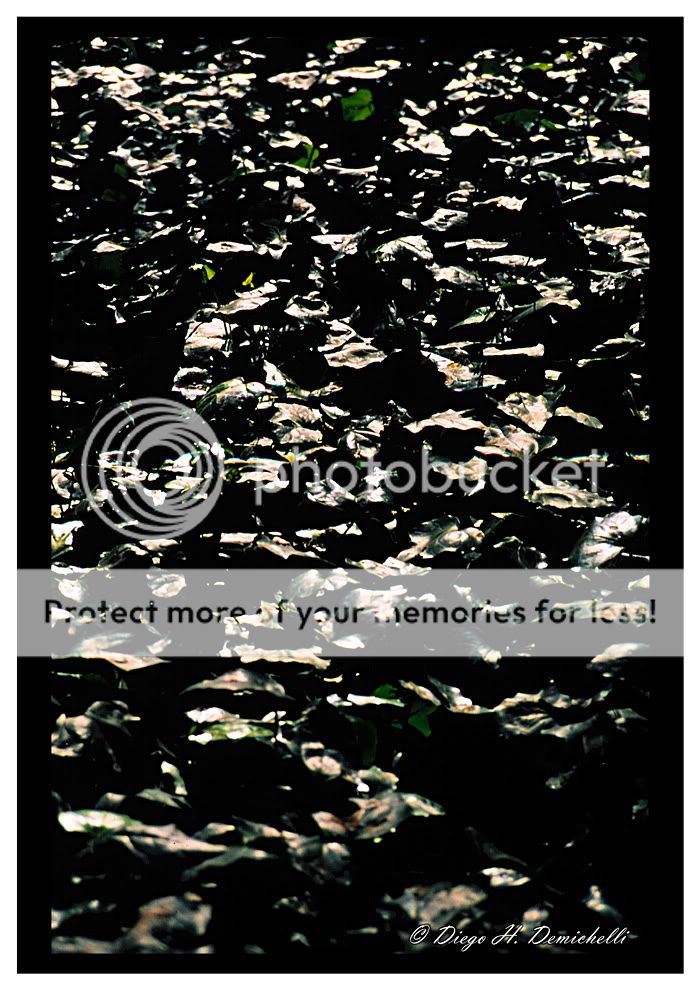 paisajes paisajes