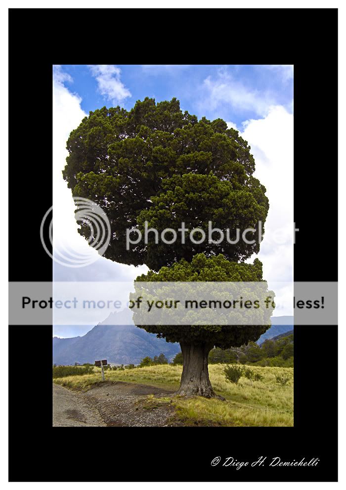 photography photography