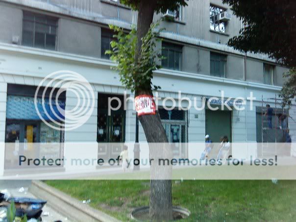 Esto solo pasa en Chile Esto solo pasa en Chile