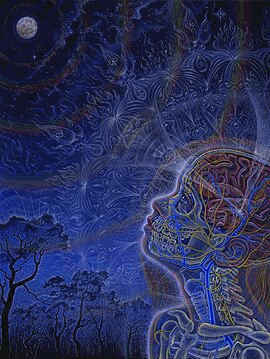 ToolAnimation1.gif 2 image by N3RON