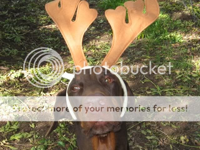 menschette menschette