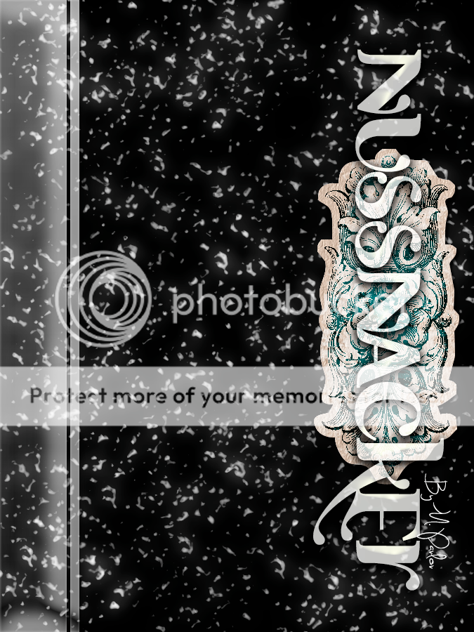 photo Nussnacker FF Cover_zpsy58yq1lf.png