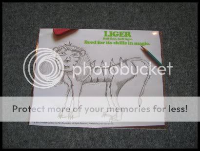 User Image
