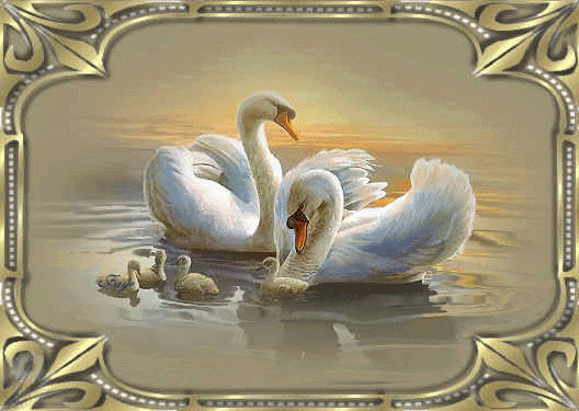 wwwtvnhu_fb09ca9b2c0193ded1a6f0e971.gif
